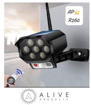 Untitled design - 2026-08-03T152449.193 Solar- Powered LED security light