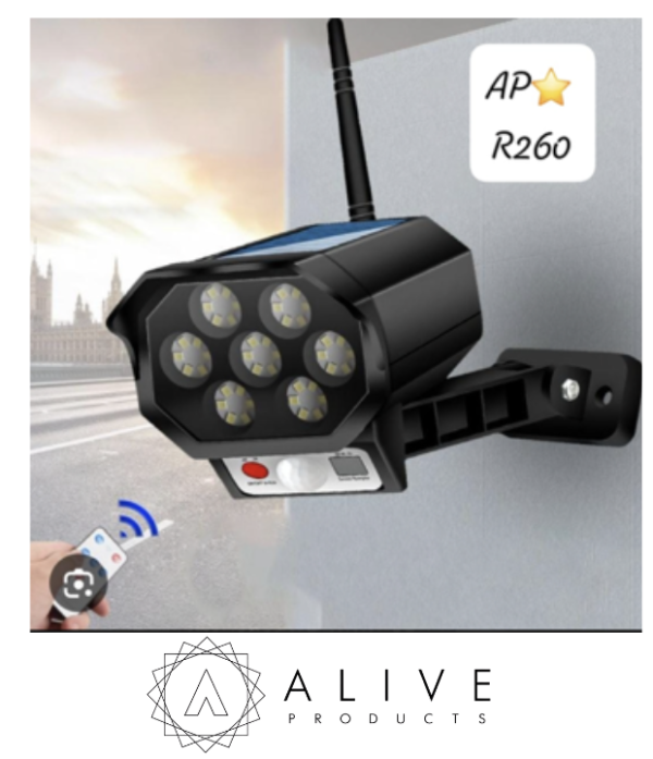 Solar- Powered LED security light