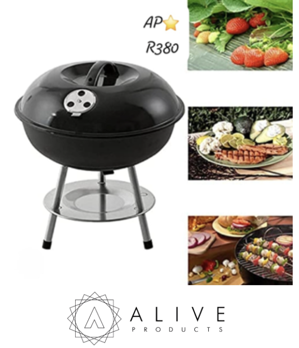 Portable folding outdoor camping BBQ
